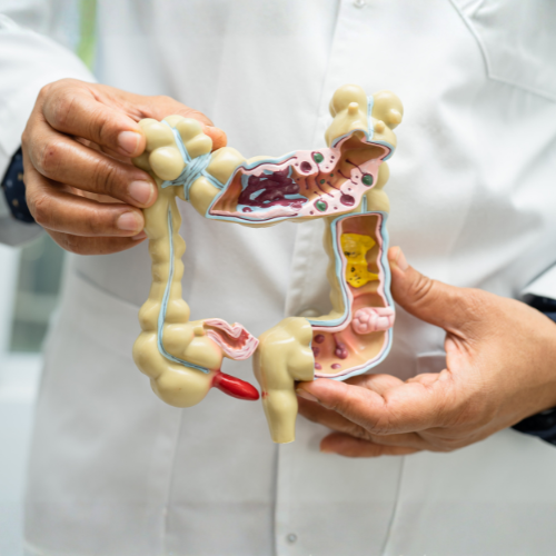 Gut & Digestive Balance